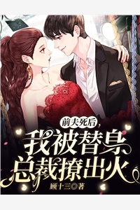 薄少的二婚罪妻完整版