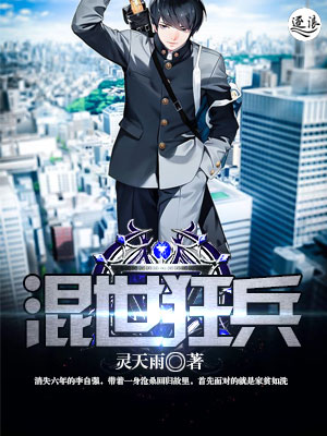 盛少私宠